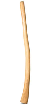 Natural Finish Bell Didgeridoo (TW1104)